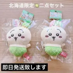 ちいかわ　北海道限定　ご当地　ぬいぐるみ　キーホルダーマスコット　メロン　うさぎ