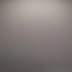 専用