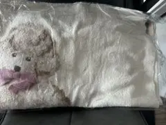 Item thumbnail for item 42860f54-bf06-402c-a883-bea651e2d46d