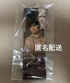 SEVENTEEN カプセルトイ フラッグ キーホルダー ウォヌ ライヒア