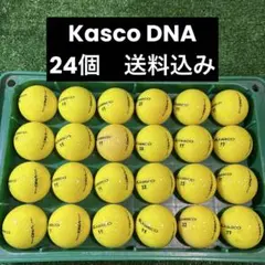 Kasco DNA ロストボール　24個のサムネイル