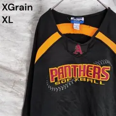 エックスグレイン ロンT XL 黒 刺繍 裏起毛タイプ アメリカ古着 パンサーズ