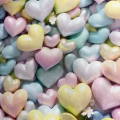 acoco shop ♦️即購入OK♦️様 リクエスト 3点 まとめ商品