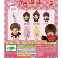 モンチッチ　めじるしアクセサリー2