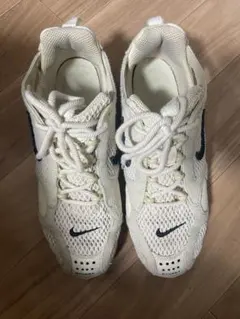 Item thumbnail for item 1553cf04-e03e-4125-9af9-f96e3f7800c6