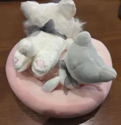 コリラックマキャット　ぬいぐるみセット