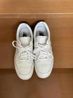 Item thumbnail for item e64ac2c5-c629-4b25-9038-8f776ea25b13