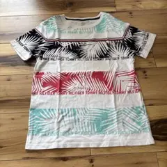 TOMMY HILFIGER キッズTシャツ　L/G（12–14）