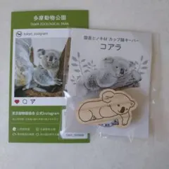 【非売品】多摩動物公園 コアラ 国産ひのき材 カップ麺キーパー 未使用未開封