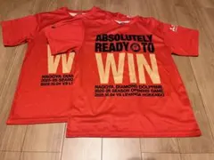 ２枚セット　名古屋ダイヤモンドドルフィンズ Tシャツ