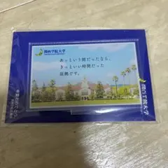 関西学院大学の卒業記念アクリルスタンドのサムネイル