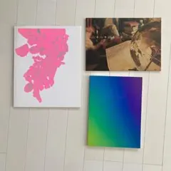 嵐　コンサート　パンフレット