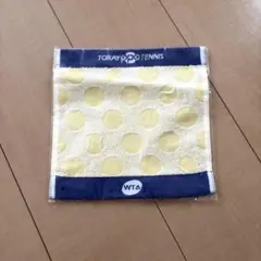TORAY スポーツハンドタオル TPT-071
