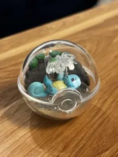 ポケモン　テラリウムコレクション ゼニガメ