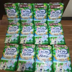 Item thumbnail for item c20af737-fb35-4ad2-832b-fda4cecd70c9