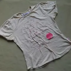 DAKS LONDON　半袖　カットソー　Tシャツ　40　レディース　M　Lのサムネイル