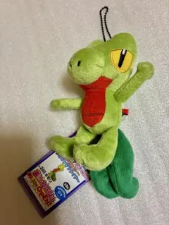 ポケモンfit キモリ ジュプトル ジュカインセット タグあり ポケモン