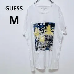 Item thumbnail for item 80140e24-a2cd-4d22-a09d-1503a0927f67