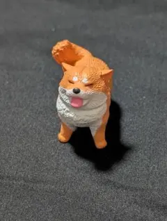 柴犬 柴犬 快樂犬！ 柴犬