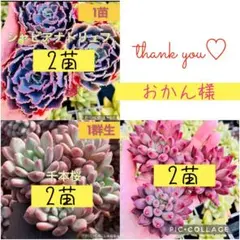 おかん様 リクエスト 3点 まとめ商品