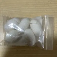 Item thumbnail for item 10663239-4bbf-47ee-a22d-81330278b156