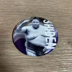 大相撲ガチャ 紫雷