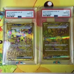 【PSA10 連番】超電 ピカチュウex UR テラフェ ピカチュウex UR