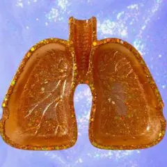 肺皿　灰皿　小物入れ