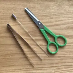 Item thumbnail for item 8d317d3b-0090-4bf2-8611-5660e3fb9ebe