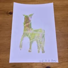 ヴィリディス