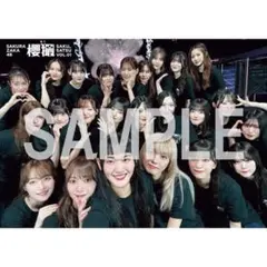 櫻坂46「櫻撮」VOL.01 セブンネット限定　B3ポスターのサムネイル