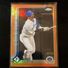 Item thumbnail for item db0c2060-fdb3-4e10-928f-51d0ad09917c