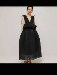 LAEMUSE ROUNDED SHEER SKIRT