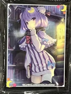 東方Project カッパ工房 パチュリー・ノーレッジ スリーブ 9枚のサムネイル