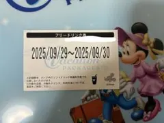 2025年最新】ディズニーバケーションパッケージ引換券の人気