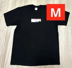 2026年最新】Supreme Emilio Pucci Box Logo Teeの人気アイテム - メルカリ