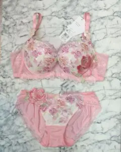 ☆サルート06 ブラ＆ショーツ PU D85LL ベトナムの花嫁　匿名配送 ☆サルート06 ブラ＆ショーツ PU E85LL ベトナムの花嫁 匿名配送