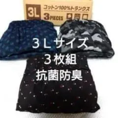 Item thumbnail for item 6537c226-8125-4d50-9bb4-ecc1a90962d2