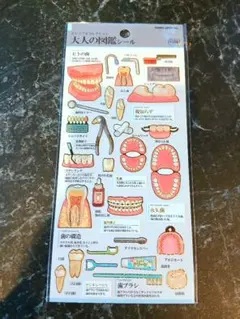 大人の図鑑シール（歯編）