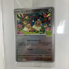イーブイ：ポケカバトルをはじめよう！ PROMO SV-Pプロモカード