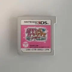 姫ギャルパラダイス ニンテンドー3DS ソフト カセット