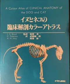 2025年最新】犬の臨床解剖の人気アイテム - メルカリ