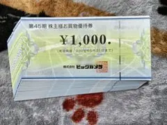 ビックカメラ 株主優待券30,000円分（1,000円券×30枚） コジマ
