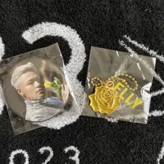 三代目 J Soul Brothers ELLY 会場ガチャ STARS