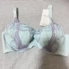 Triumph ブラジャー トリンプ レース 水色 青 ブルー D70