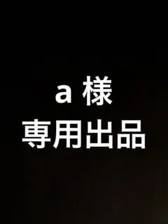 a 様専用出品