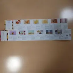 과일 식초 레시피