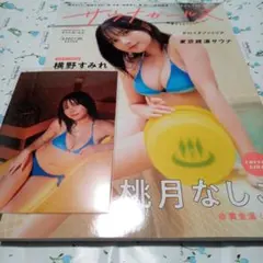 Item thumbnail for item 7b0d7258-5395-40b2-a04b-43463f2ad74c