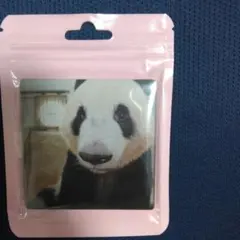 2025年最新】シャンシャンの人気アイテム - メルカリ