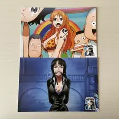 ONE PIECE ナミ ロビン ポストカード